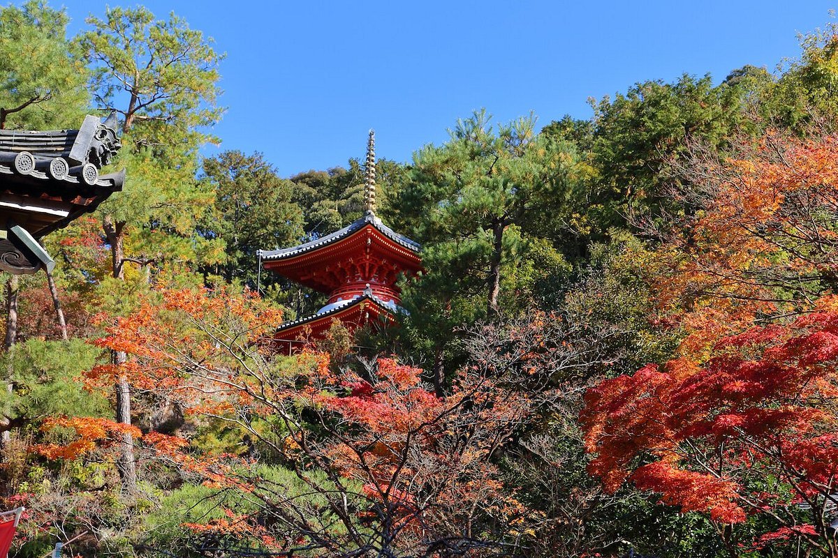 🍁 이마쿠마노 관음사(이마쿠마노칸논지) 이미지 1